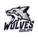 Kralupy Wolves B